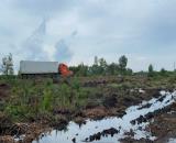 Bán 46.000m2 đất rừng sản xuất quy hoạch lên SKC xã Mỹ Thạnh Đông , Đức Huệ giá 17 tỷ