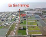 Bán 100m  đất biển quất lâm liền kề đất flamigo