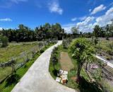 Nhà vườn 7x25m thiết kế thoáng, sân rộng trồng cây, gần QL1A Bến Lức