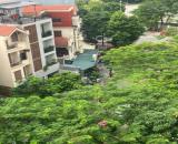 BIỆT THƯ VIP KHU ĐÔ THỊ VIỆT HƯNG