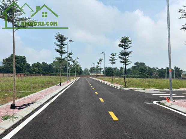 PHÚ CÁT – LÔ ĐẸP, FULL THỔ CƯ – ĐƯỜNG 8M 2 ÔTÔ TRÁNH NHAU - 2