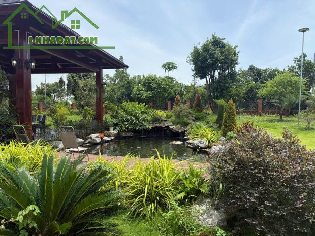 Bán biệt thự 3.698.3m2 tại Đá Bạc Châu Đức Bà Rịa TPHCM Giá rẻ tháng 11/2025
26 tỷ - 2