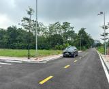 Đất Phú Cát 100m², full thổ cư, đường 8m, cách trục 446 chỉ 50m