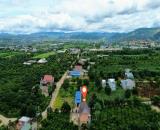 13m mặt tiền đường tại Đông Thanh-Lâm Hà dt 315m2 sẵn 263m2 thổ chỉ nhỉnh 1 tỷ