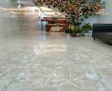 Cho thuê nhà nguyên căn cấp 4 Ngõ 136 Ngọa Long, Phường Minh Khai, Quận Bắc Từ Liêm, Hà