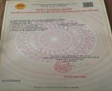 CẦN BÁN GẤP ĐẤT TẠI ẤP ĐỒNG TÂM, XÃ LONG TRẠCH, CẦN ĐƯỚC, LONG An