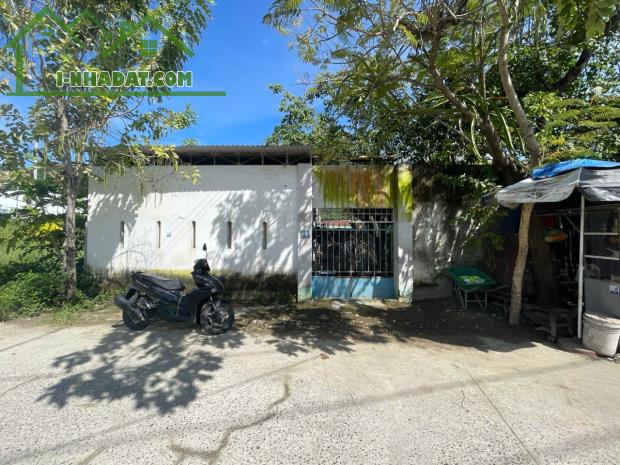 Bán Đất Mặt Tiền Phong Châu, 247m², Hướng Nam, Đường 20m – Giá Tốt - 2