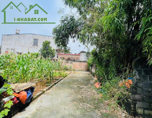 🌈 SIÊU PHẨM ~66M² VUÔNG ĐẸP KHU TIÊN TRƯỢNG, XUÂN MAI - GIÁ 2,3X TỶ