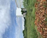 Cần bán lô đất thổ cư sát chợ Phú Long – vị trí trung tâm, sổ hồng sẵn