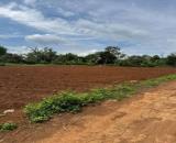 Bán đất sào Eabhok cũ có thổ cư , đất bằng đẹp