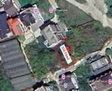 Đất Hai Mặt Tiền Trịnh Hoài Đức – Phường 11, Đà Lạt | Vị Trí Đẹp, View Thông Xanh Mát