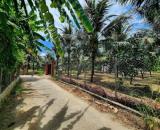 Bán nhanh lô đất Đắc Lộc - Vĩnh Phương - Nha Trang