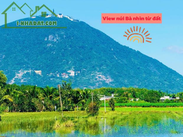 Mặt tiền đường nhựa view trực diện núi bà đen full thổ cư 140m2 sẵn sổ ra thị trấn DMC - 4