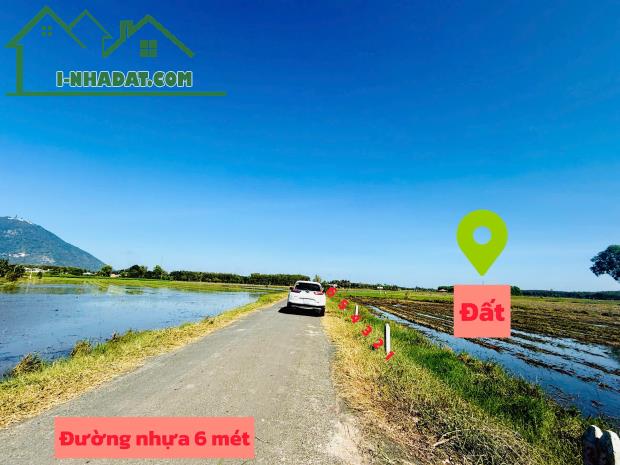 Mặt tiền đường nhựa view trực diện núi bà đen full thổ cư 140m2 sẵn sổ ra thị trấn DMC - 2