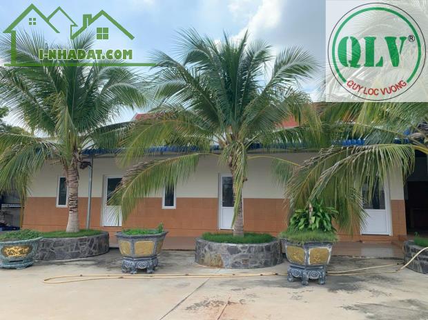 Bán xưởng sản xuất Nông Sản 11.879m2 Hàm Tân Bình Thuận - 1
