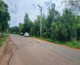 BÁN ĐẤT SKC XÂY DỰNG KHO XƯỞNG TẠI XÃ LONG NGUYÊN, BÀU BÀNG, TỈNH BÌNH DƯƠNG CŨ