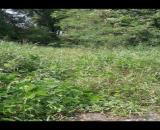 Bấm 125m2 đất thổ cư huyện cần giuộc xây dựng ngay