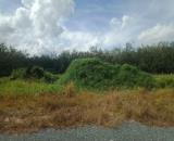 Cần Bán 2 Công Đất Chính Chủ Tại Trường Xuân, Xã Trường Hòa,  Hòa Thành, Tây Ninh