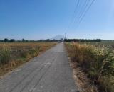 4 mẫu 1 Bình Lương Đồng Khởi Châu Thành Tây Ninh