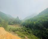 🌿 CHÍNH CHỦ GỬI BÁN 17HA ĐẤT RỪNG SẢN XUẤT – LƯƠNG SƠN, HÒA BÌNH 🌿  Cơ hội hiếm dành cho