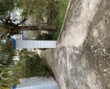 BÁN GẤP 2400m2, Song Phú, Tam Bình, Vĩnh Long, cách Quốc Lộ 1A 200m