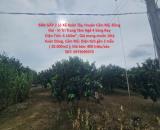 BÁN GẤP 2 Lô Xã Xuân Tây, Huyện Cẩm Mỹ, Đồng Nai - Vị Trí Trung Tâm Ngã 4 Sông Ray