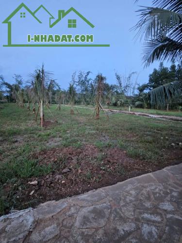 CẦN BÁN GẤP ĐẤT THỔ CƯ – GẦN SÂN BAY LONG THÀNH