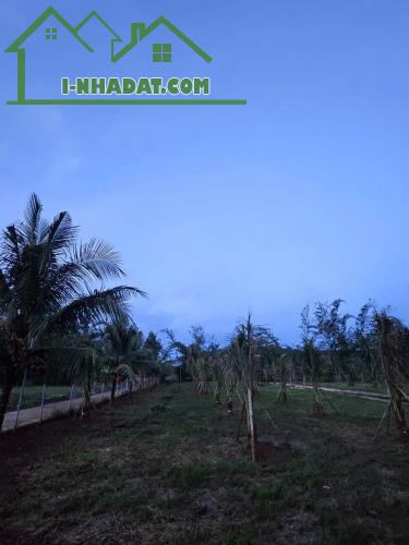 CẦN BÁN GẤP ĐẤT THỔ CƯ – GẦN SÂN BAY LONG THÀNH - 1