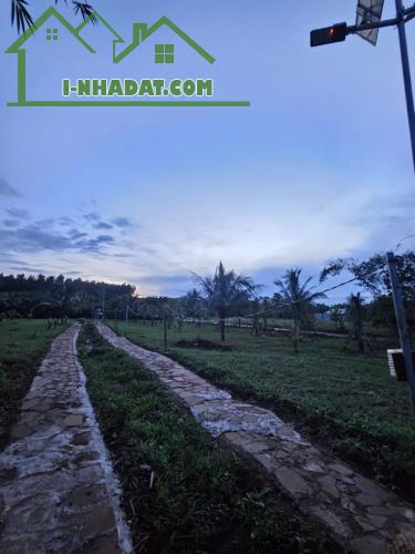 CẦN BÁN GẤP ĐẤT THỔ CƯ – GẦN SÂN BAY LONG THÀNH - 3