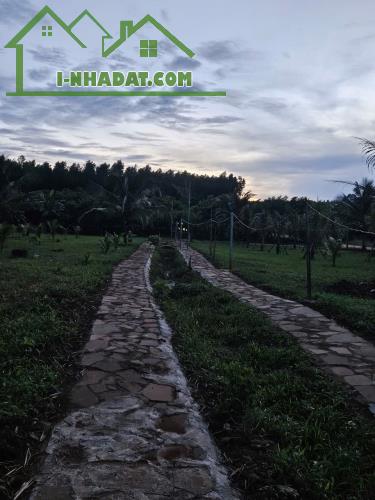 CẦN BÁN GẤP ĐẤT THỔ CƯ – GẦN SÂN BAY LONG THÀNH - 4