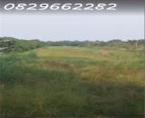 Bán Đất Nông Nghiệp 4678m2 Sổ Hồng MT 5m Đường Tám Sáng, Tân Bình, Châu Thành, Đồng Tháp.