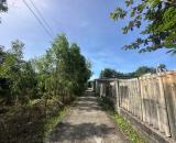 Chủ Ngộp Cần Bán Đất 7x24(184m2) H.Tôn Đức Thắng Kp4 Tân Thiện LaGi