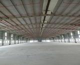 BD1. Cho Thuê Nhà Xưởng KCN Vsip 1, Thuận An Thiết Kế Theo Yêu Cầu Của Khách
