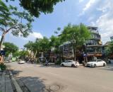 🔅 ĐẤT VÀNG MẶT PHỐ VIP NGUYỄN THÁI HỌC, BA ĐÌNH, 525M2 3T MT 21M, CHỈ 350 TỶ 🔅