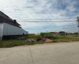 🔥 BÁN GẤP ĐẤT THỔ CƯ – GIÁ CHỈ TỪ 1,55 TỶ 🔥 📍 Mỹ Yên – Long An (giáp Tây Ninh)