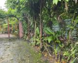 Bán ĐẤT ẤP VĨNH PHÚC, VĨNH HANH, CHÂU THÀNH, AN GIANG