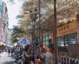 Bán nhà mặt phố đối diện Windsor Plaza quận 5