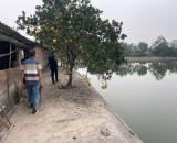 ĐẤT ĐẸP - GIÁ TỐT CHÍNH CHỦ – CHÍNH CHỦ cần bán mảnh đất diện tích 6480m2 Xã Đông Lỗ, Ứng