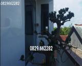 Bán nhà mặt tiền đường Cai Trượng, Tân Phú Trung, Châu Thành ĐT. 150m2, 2PN, Sổ Hồng. Giá