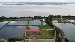 ► Đất đẹp xã Lý Nhơn - Cần Giờ - HCM - 3