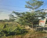 ⚠️ Hàng hiếm giá ngộp – bỏ lỡ là tiếc!