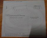 ĐẤT ĐẸP – GIÁ TỐT  – CHÍNH CHỦ CẦN BÁN TẠI đường Hòa Bình, hẻm 6, Phường 7, Bạc Liêu ( Cũ)