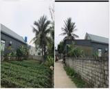 CẦN BÁN LÔ ĐẤT TẠI TDP CAO BẮC – PHƯỜNG HẢI THƯỢNG – TX NGHI SƠN – THANH HÓA