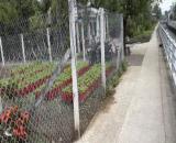 Bán đất mặt tiền kênh Chín Tế 165,2 m2,quy hoạch đất ở