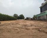 Vị trí Kim Cương, Hắc Dịch, Phú Mỹ 3300M2, 50 Thổ Cư, chỉ 5.5 tỷ