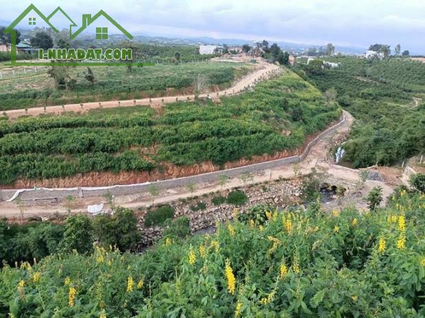 (CHÍNH CHỦ) TUYỆT PHẨM ĐẤT SINH THÁI LÂM ĐỒNG – 2 MẶT TIỀN – SUỐI TỰ NHIÊN
