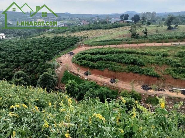 (CHÍNH CHỦ) TUYỆT PHẨM ĐẤT SINH THÁI LÂM ĐỒNG – 2 MẶT TIỀN – SUỐI TỰ NHIÊN - 1