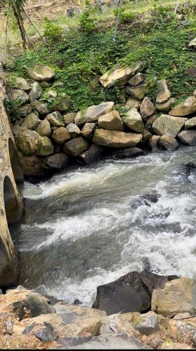 (CHÍNH CHỦ) TUYỆT PHẨM ĐẤT SINH THÁI LÂM ĐỒNG – 2 MẶT TIỀN – SUỐI TỰ NHIÊN - 2