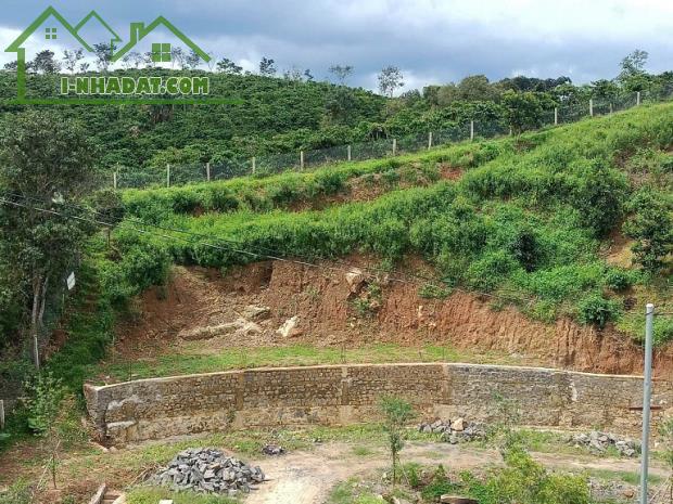 (CHÍNH CHỦ) TUYỆT PHẨM ĐẤT SINH THÁI LÂM ĐỒNG – 2 MẶT TIỀN – SUỐI TỰ NHIÊN - 3