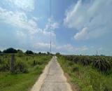 1000m² có sổ sẵn – Hàm Chính (Hàm Liêm)